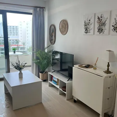 Wintowinrentals Newly Renovated Private Beachfront & Steps To The Marina Apartment *